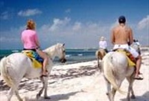 Horseback Riding Tour